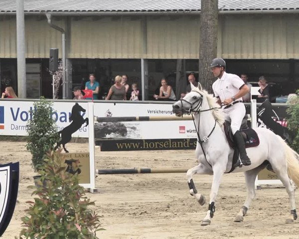 Reitturnier Viernheim 2019