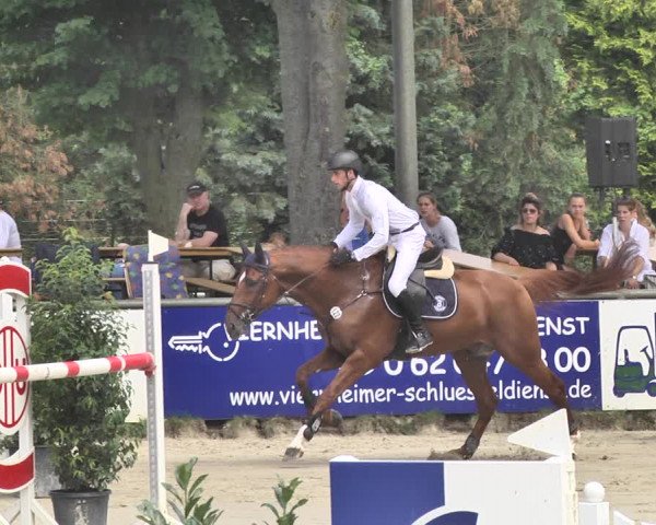 Reitturnier Viernheim 2019
