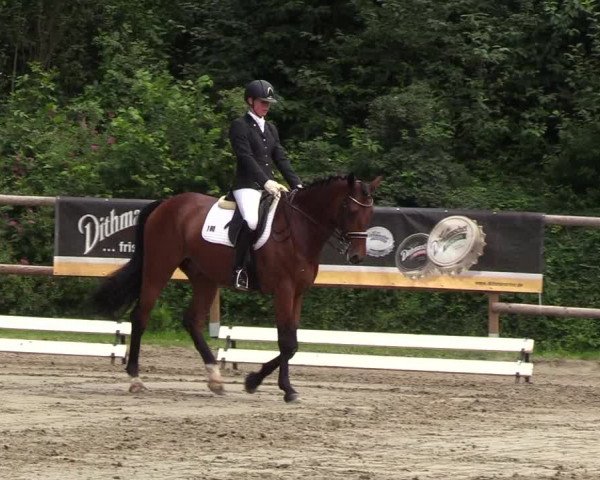 Reitturnier Hanerau-Hademarschen 2019