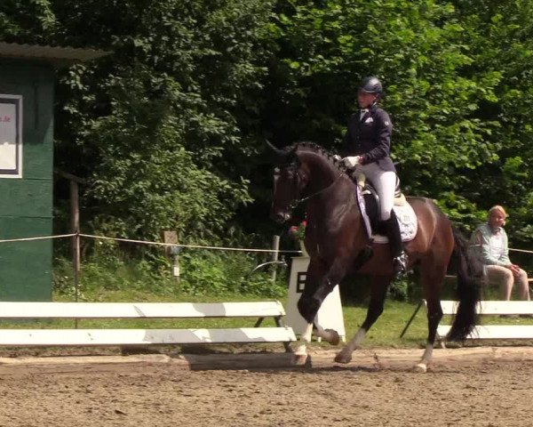 Reitturnier Hanerau-Hademarschen 2019