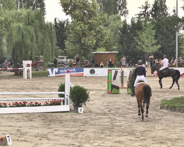 Reitturnier Viernheim 2019