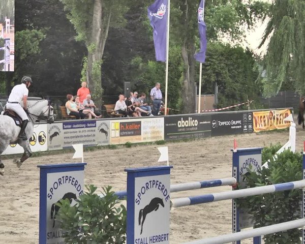 Reitturnier Viernheim 2019
