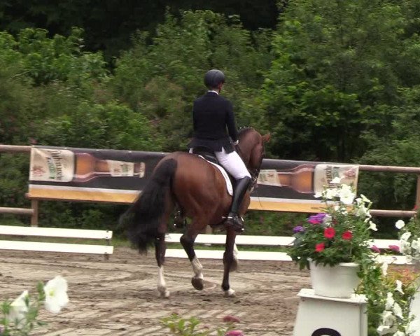 Reitturnier Hanerau-Hademarschen 2019
