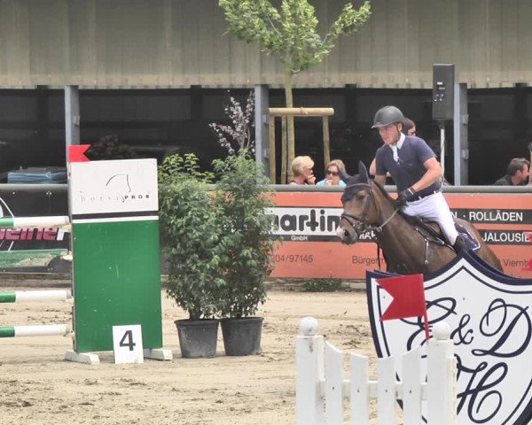 Reitturnier Viernheim 2019