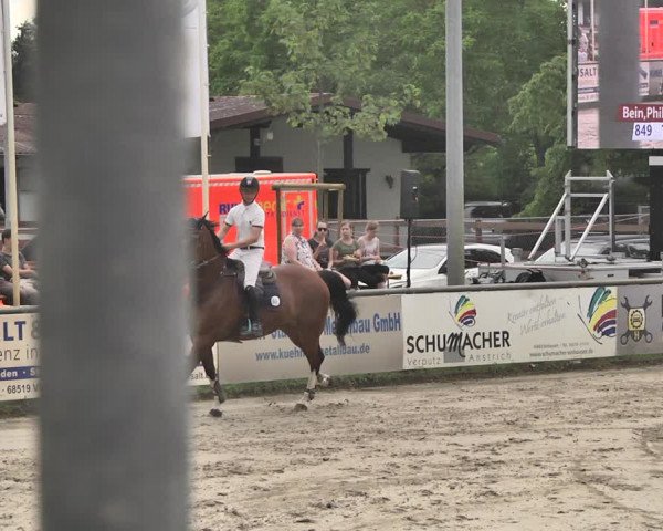 Reitturnier Viernheim 2019