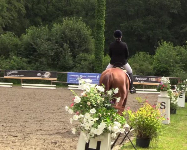 Reitturnier Hanerau-Hademarschen 2019