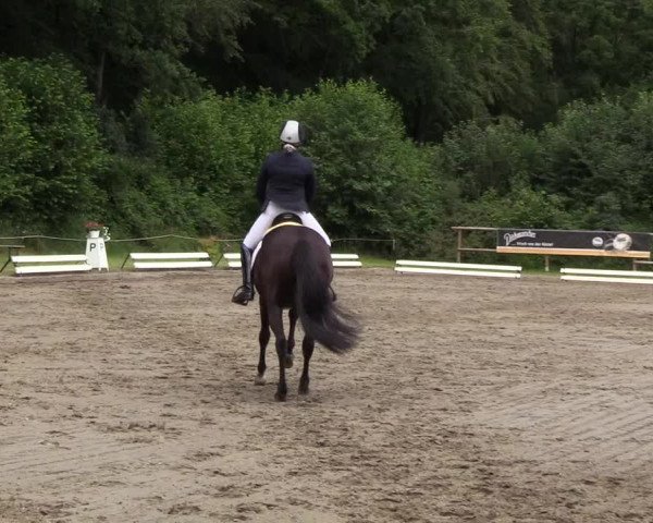 Reitturnier Hanerau-Hademarschen 2019