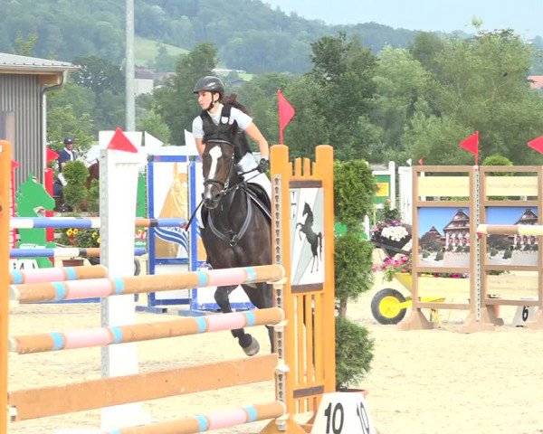 Reitturnier Hitzkirch 2019
