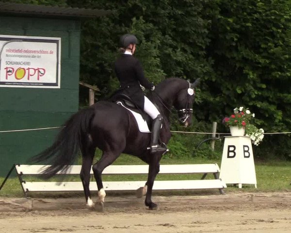 Reitturnier Hanerau-Hademarschen 2019