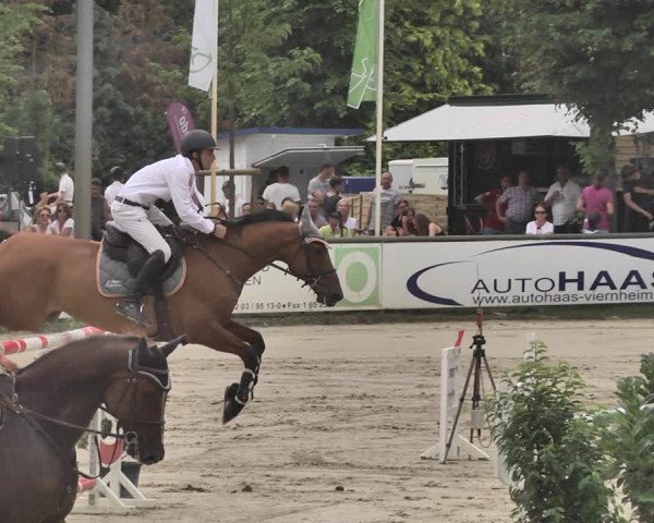 Reitturnier Viernheim 2019