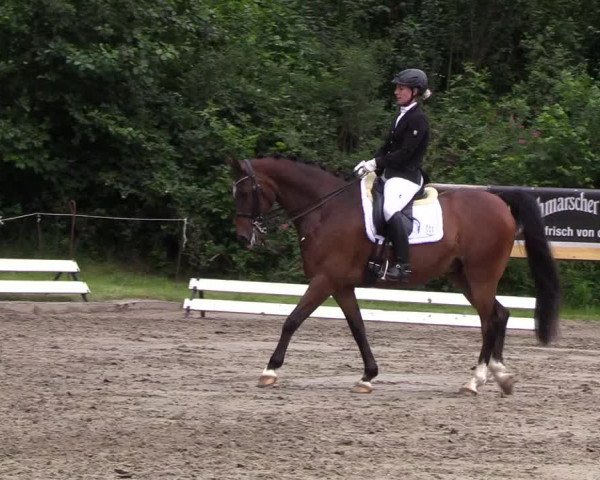 Reitturnier Hanerau-Hademarschen 2019