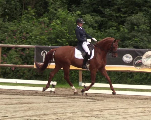 Reitturnier Hanerau-Hademarschen 2019