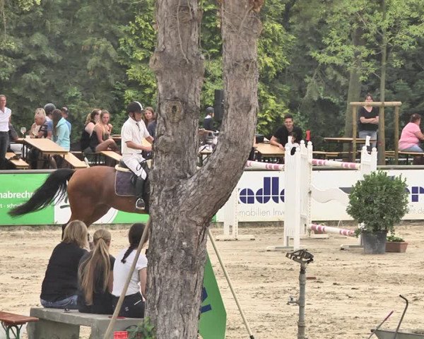 Reitturnier Viernheim 2019