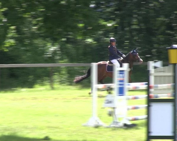 Reitturnier Stadum 2019