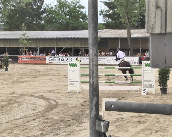 Reitturnier Viernheim 2019