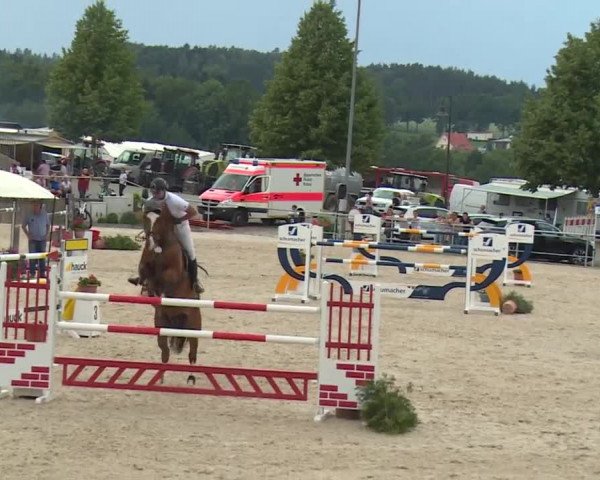 Reitturnier Küps/Ofr. 2019