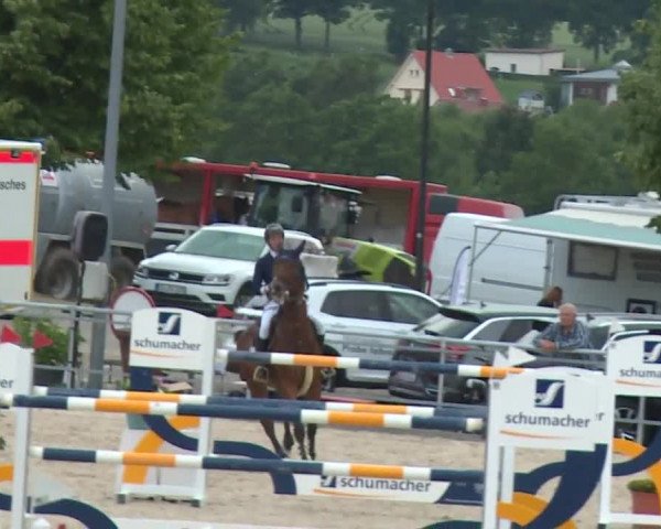 Reitturnier Küps/Ofr. 2019