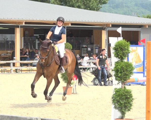 Reitturnier Hitzkirch 2019