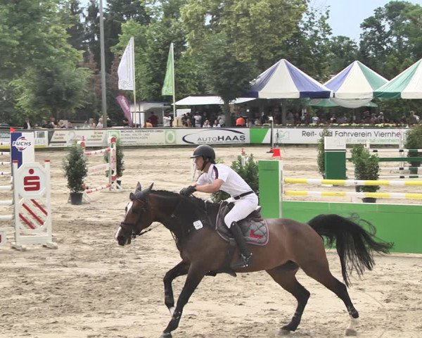 Reitturnier Viernheim 2019