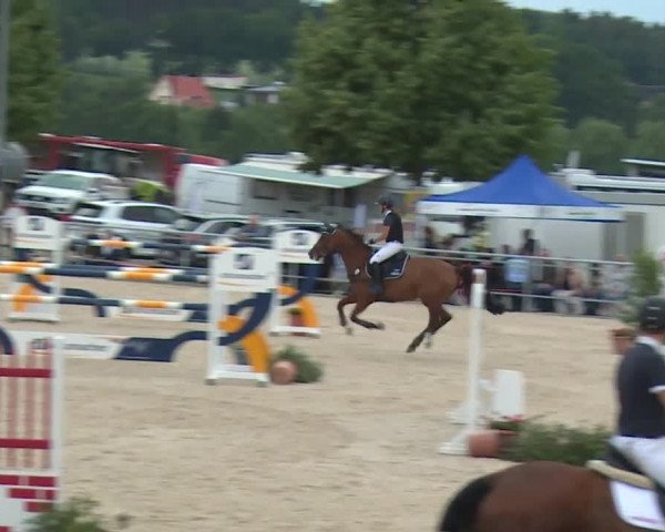 Reitturnier Küps/Ofr. 2019