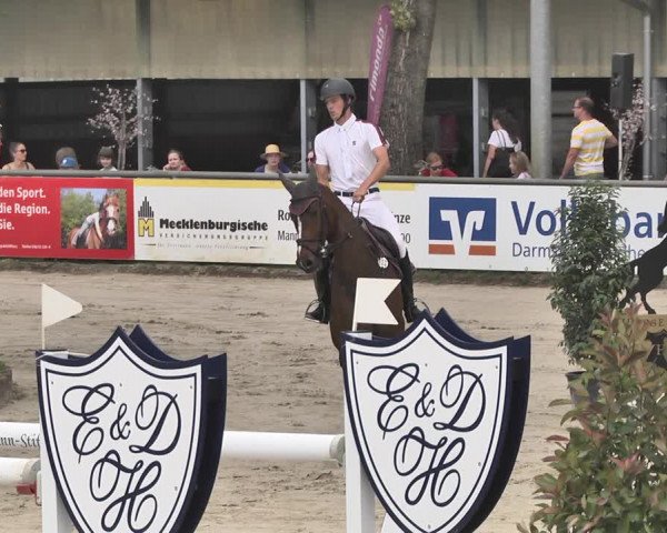 Reitturnier Viernheim 2019