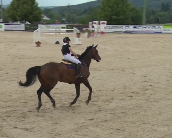 Reitturnier Küps/Ofr. 2019