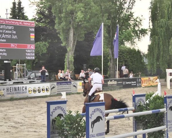 Reitturnier Viernheim 2019