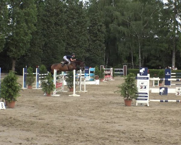 Reitturnier Leverkusen - Teitscheider Hof 2019