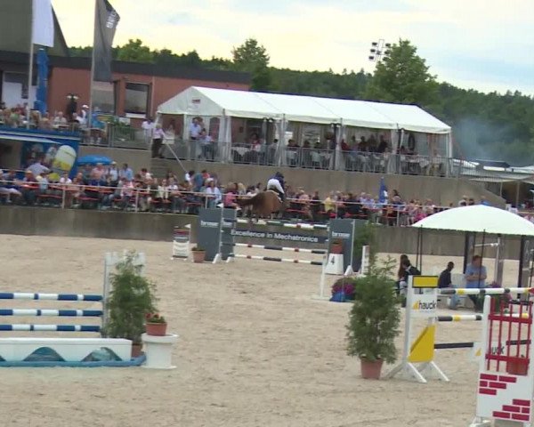 Reitturnier Küps/Ofr. 2019
