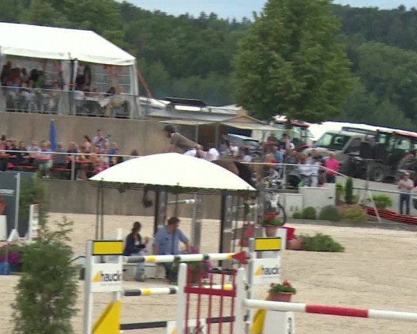 Reitturnier Küps/Ofr. 2019