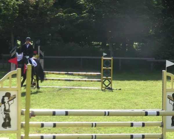 Reitturnier Stadum 2019