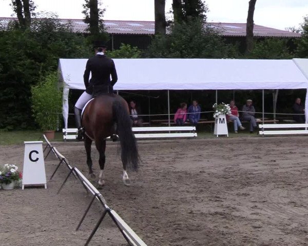 Reitturnier Hanerau-Hademarschen 2019