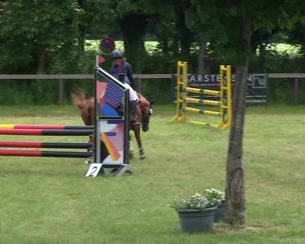 Reitturnier Stadum 2019