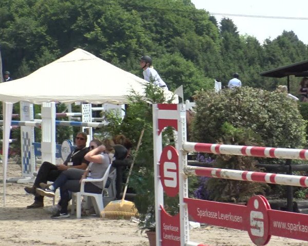 Reitturnier Leverkusen - Teitscheider Hof 2019