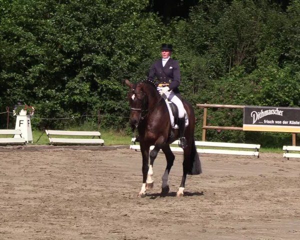 Reitturnier Hanerau-Hademarschen 2019