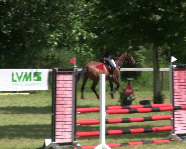 Reitturnier Stadum 2019