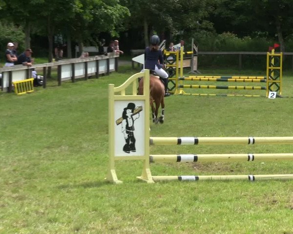 Reitturnier Stadum 2019