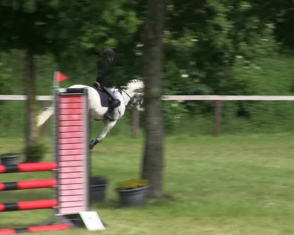 Reitturnier Stadum 2019