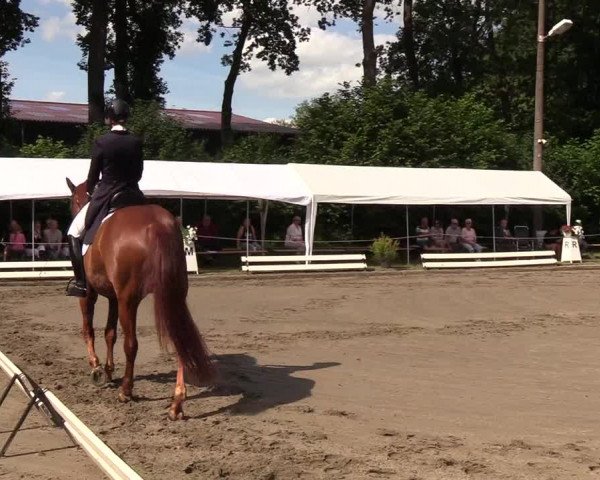 Reitturnier Hanerau-Hademarschen 2019