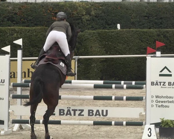 Reitturnier Durmersheim-Hardt 2021