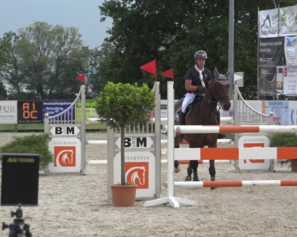 Reitturnier Hitzkirch 2019