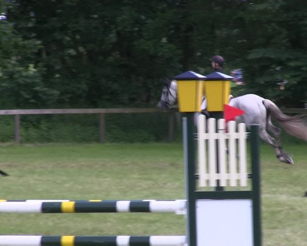 Reitturnier Stadum 2019