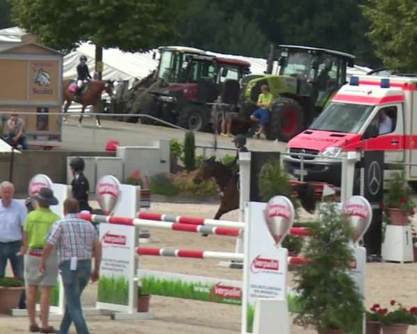 Reitturnier Küps/Ofr. 2019
