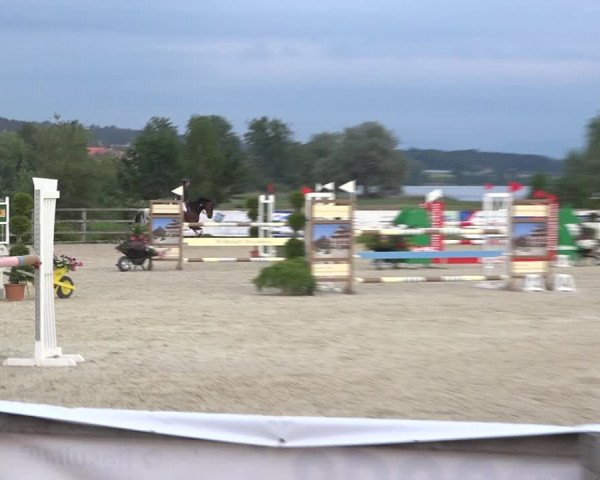 Reitturnier Hitzkirch 2019