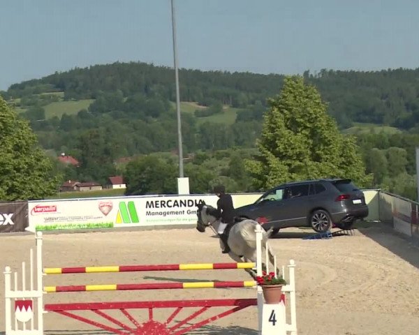 Reitturnier Küps/Ofr. 2019