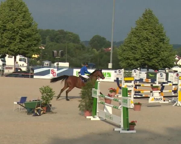 Reitturnier Küps/Ofr. 2019