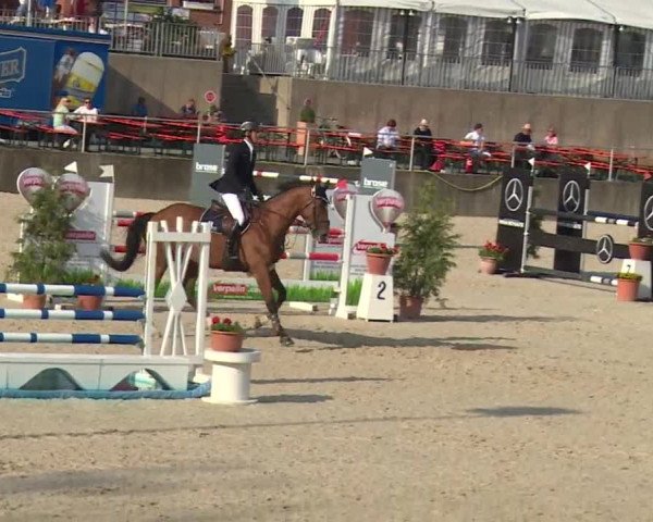 Reitturnier Küps/Ofr. 2019