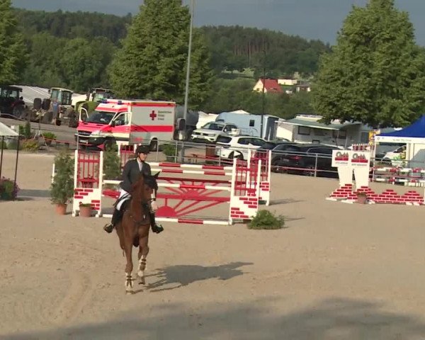 Reitturnier Küps/Ofr. 2019