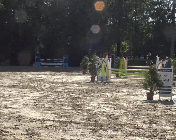 Reitturnier Leverkusen - Teitscheider Hof 2019
