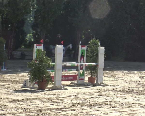 Reitturnier Leverkusen - Teitscheider Hof 2019